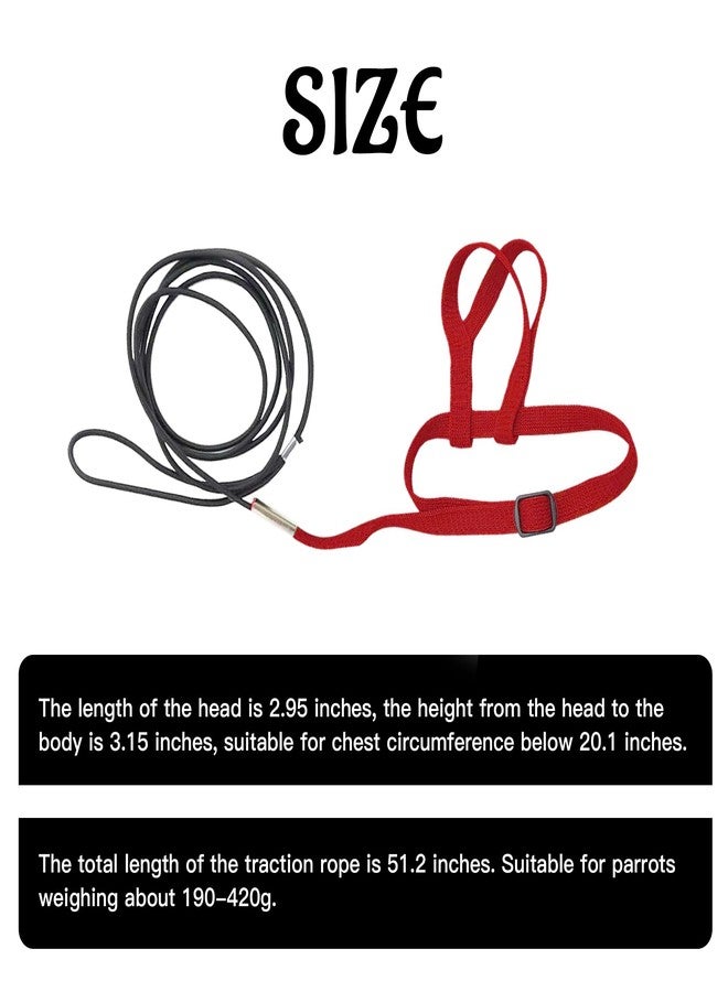 HOKABLE 2 pcs Pet Parrot Bird Harness and Leash, Adjustable Training Design Anti-Bite, Outdoor Flying Training Rope Kit for Bird Parrots Fits Birds Chest Between24-51cm /9.45-20inch - M (red - Image 5